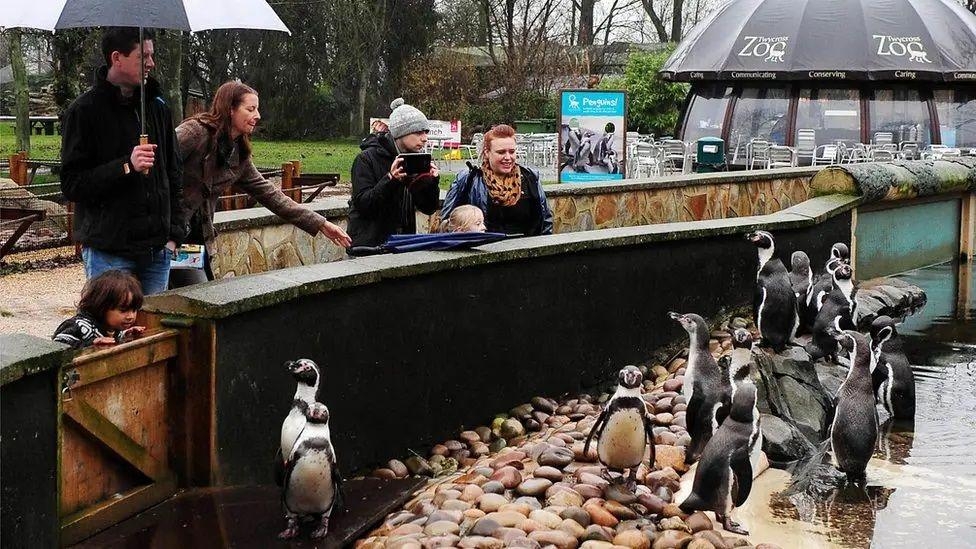 Twycross Zoo to bring in car parking charges