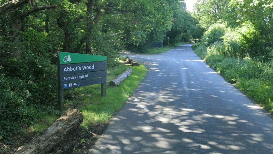 Appeal after boy, 10, attacked by two dogs