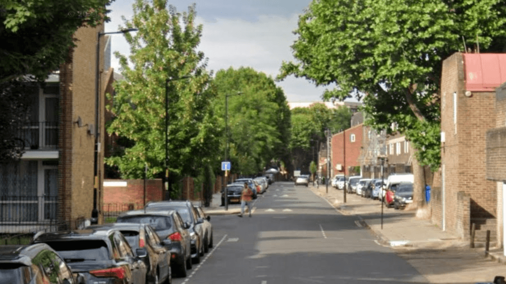 Man fatally stabbed in south London street named