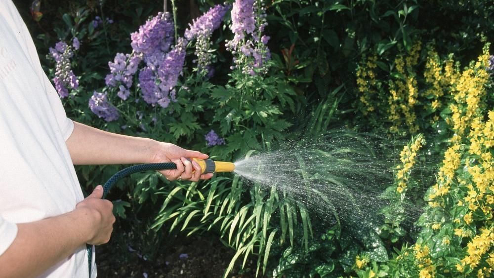 Pleas to 'use water wisely' to avoid hosepipe ban