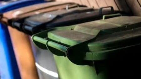Decision due on major bin collections shake-up