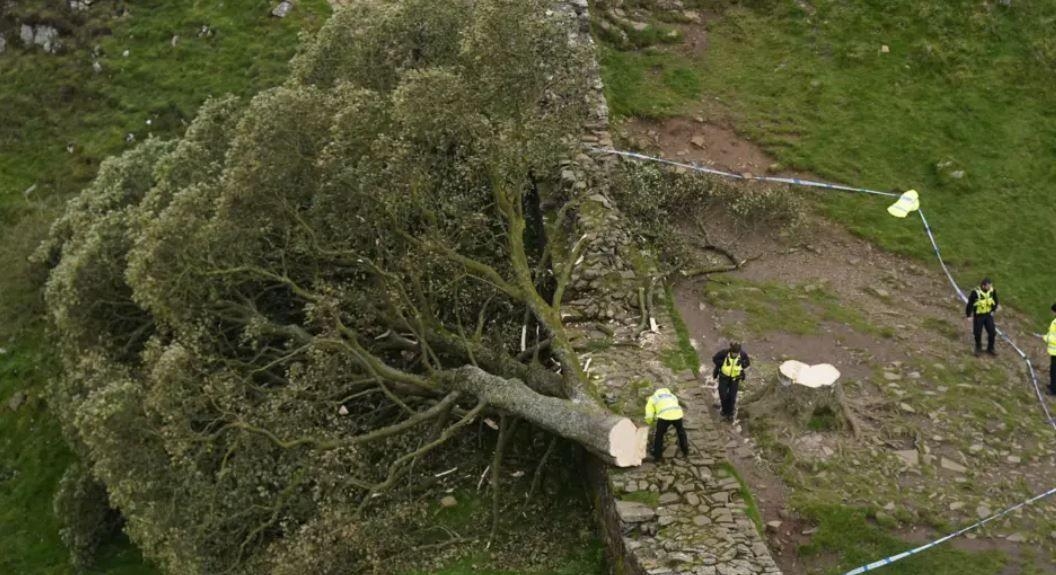 Cumbria stories you may have missed this week