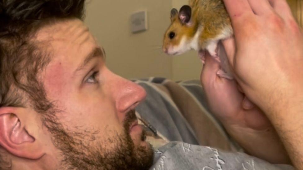 'How my pet hamster led me to my future wife'