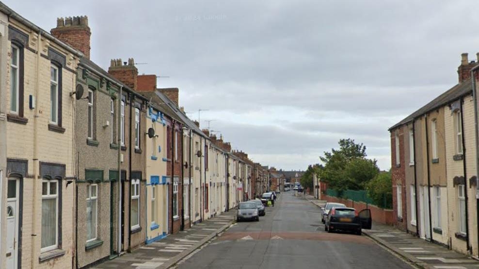 Four hurt in escaped dog attack