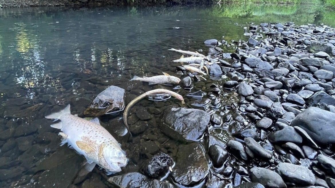 Water quality monitors moved after activist tests