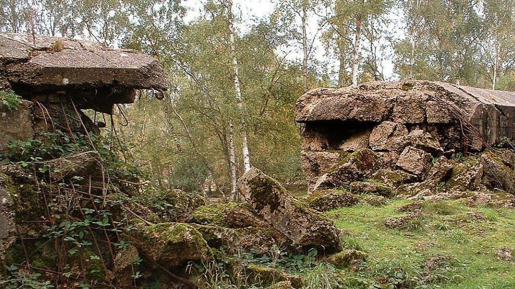 How a wall in Surrey helped the Allies on D-Day