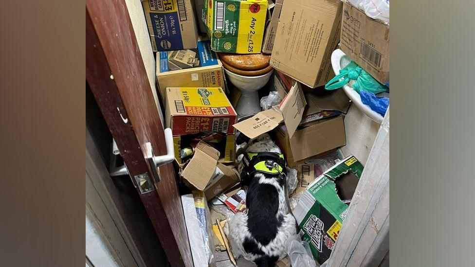 Illegal products found under loo in closed-down shop