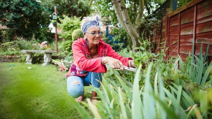 Garden centres get ready for busy long weekend