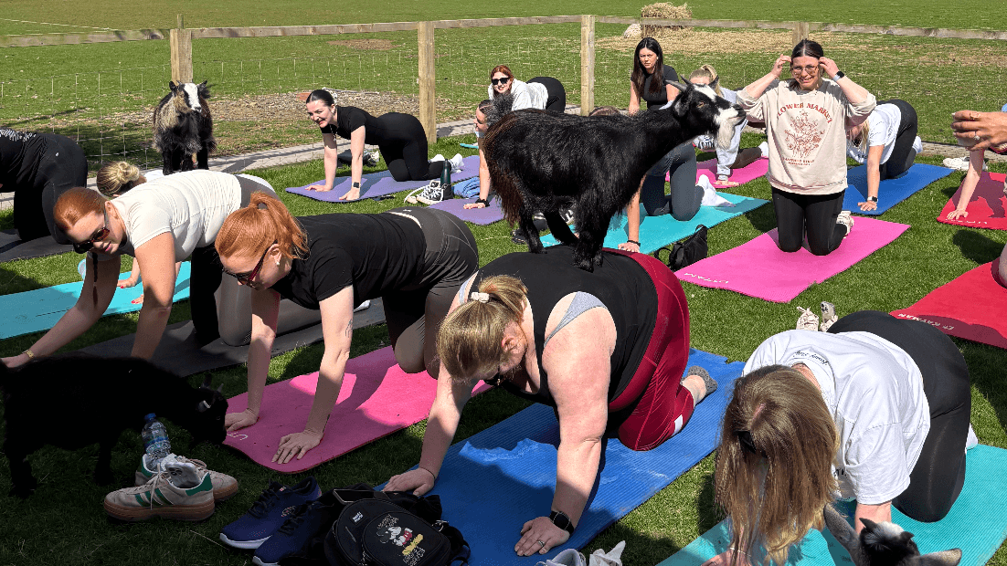 Hull Girlies changing lives by tackling loneliness