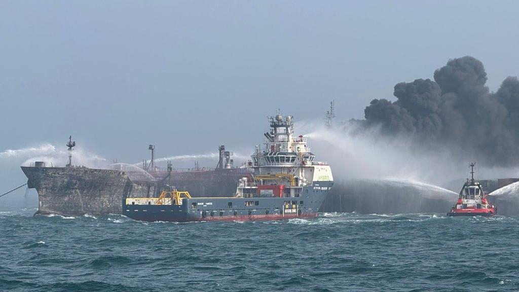 How North Sea tanker crash could impact wildlife-rich coastline