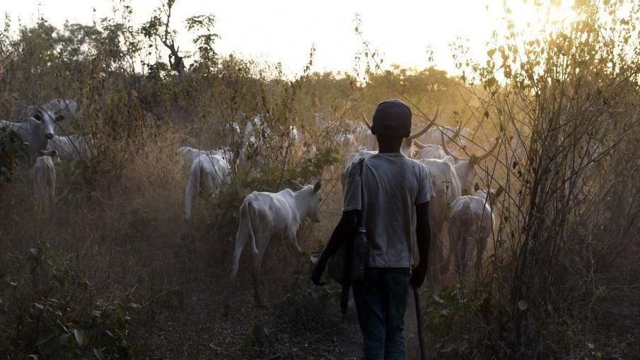 At least 45 killed in central Nigeria raid