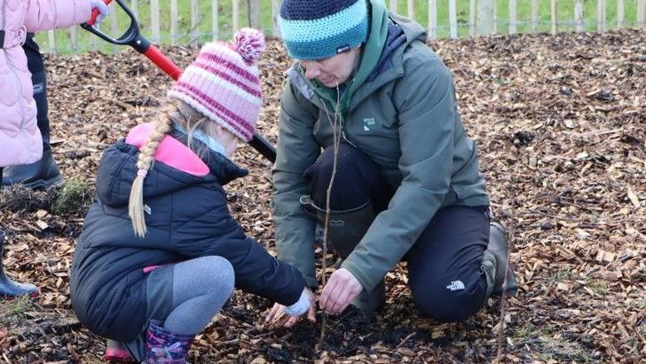 Japanese-style micro woods planted across county