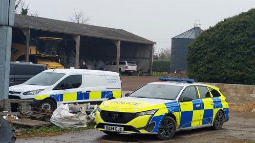 Four alpacas die after being shot in the head