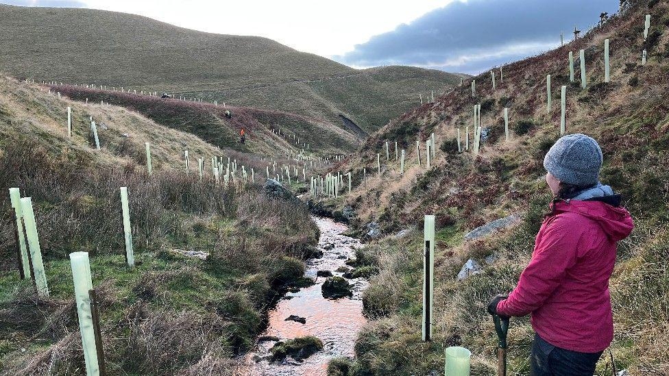 Thousands of trees planted in forest project