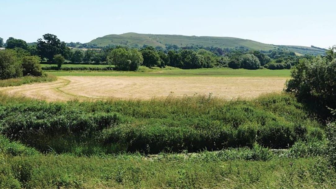 Farm staff 'let down' by green fund closure