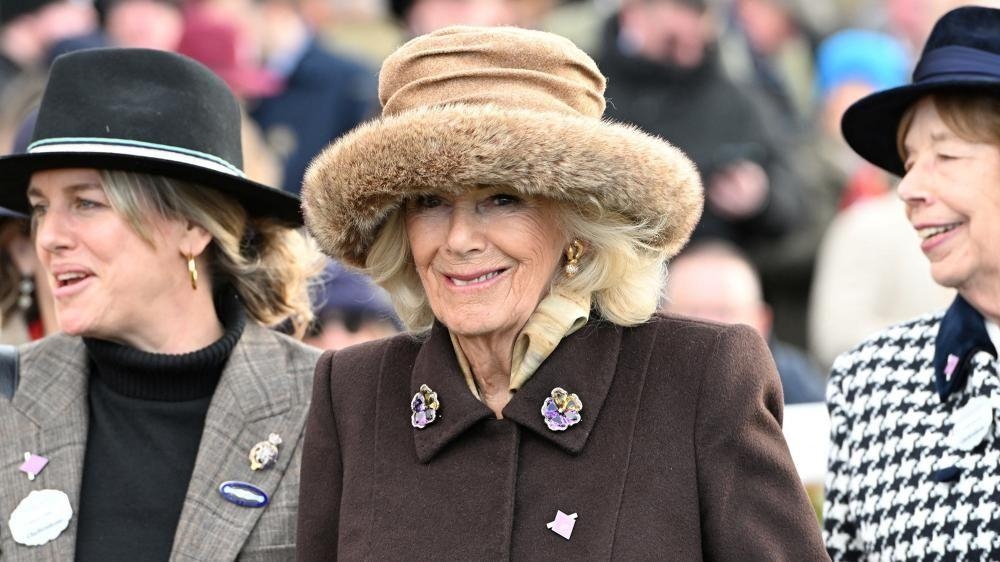 Headlines: Snow and Queen at Cheltenham