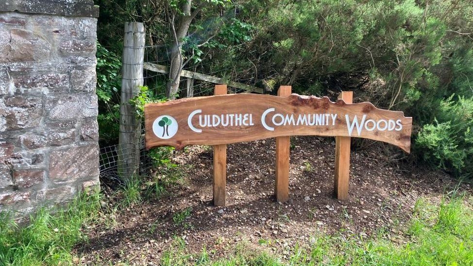 Approval sought for city woodland path improvements