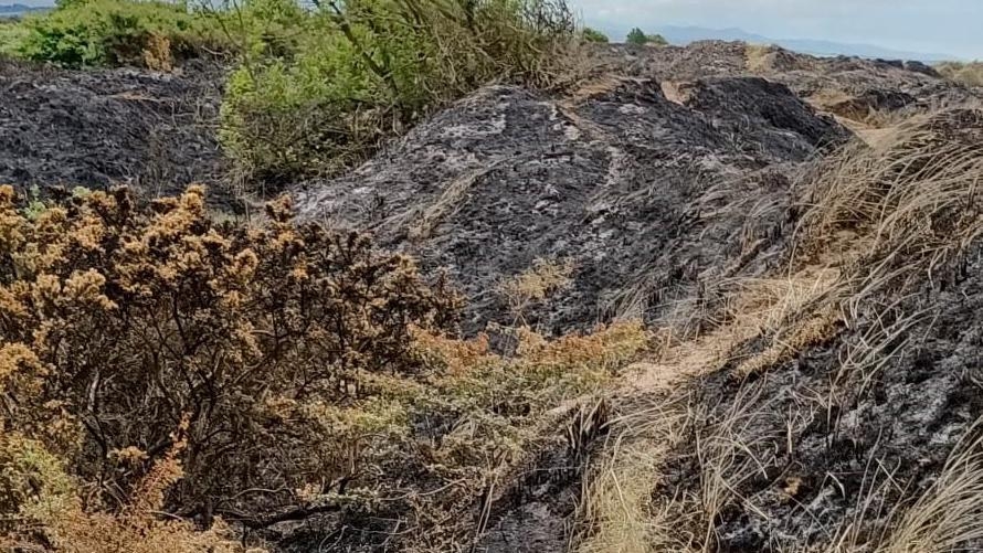 Fire-hit dunes 'could take years to recover'