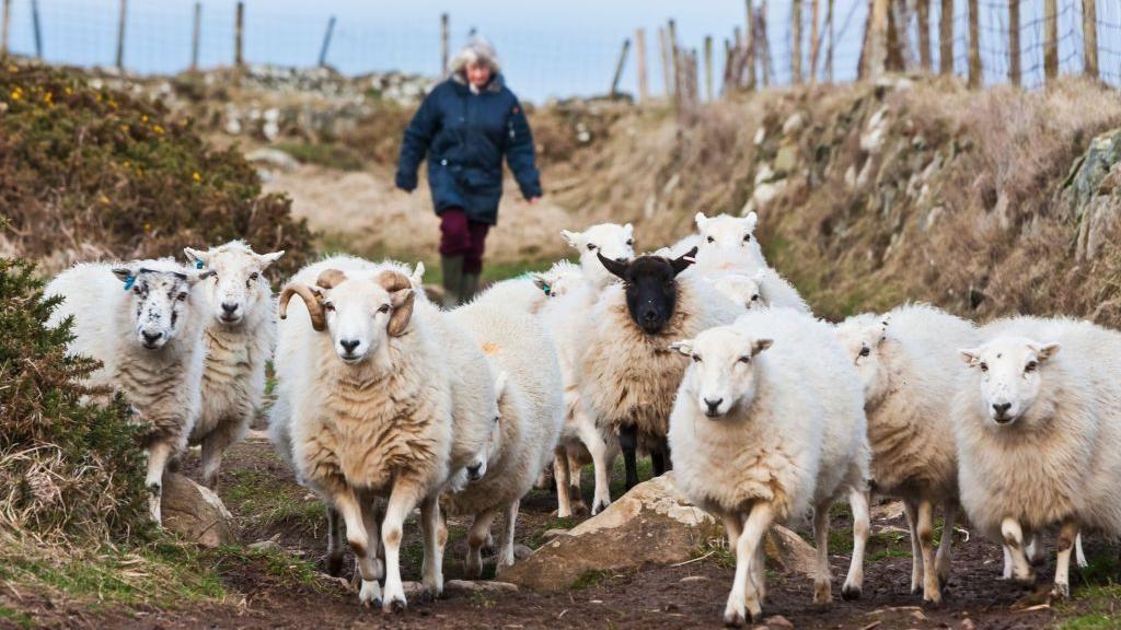 Details of new payment scheme for farmers unveiled