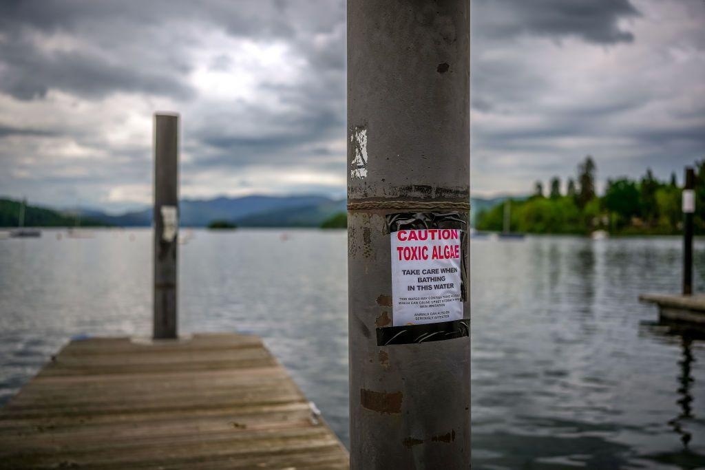 Government says water company investigations have increased