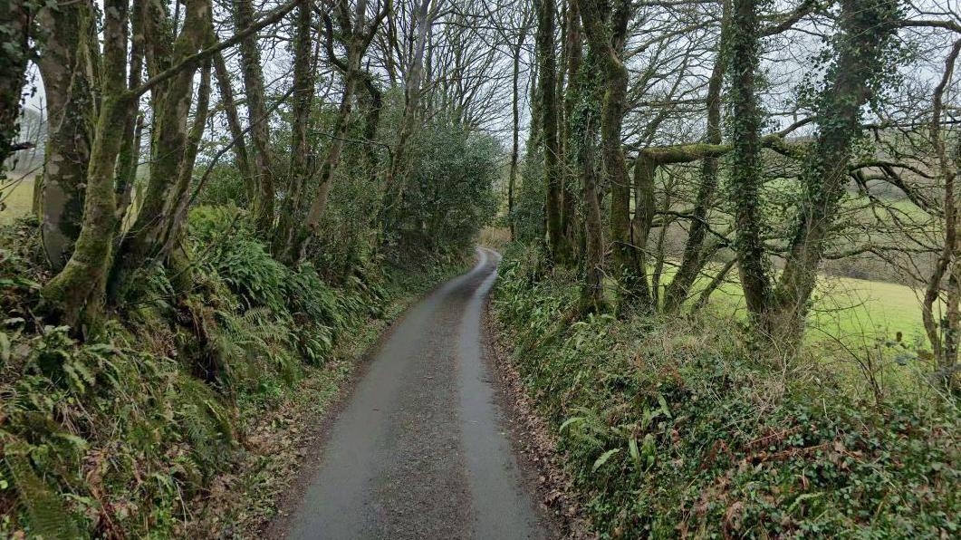 Driver in hospital after hedge crash