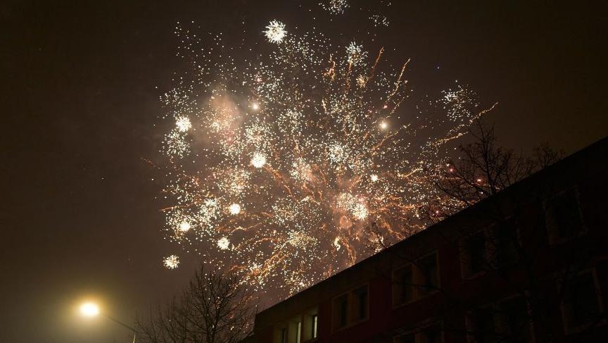 Dutch vote to ban New Year's fireworks, but not just yet