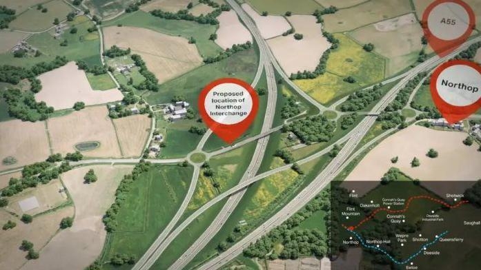 Fears for wildlife after road scheme plan revived