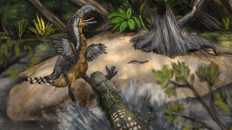 Teeth marks suggest 'terror bird' was killed by reptile 13 million years ago
