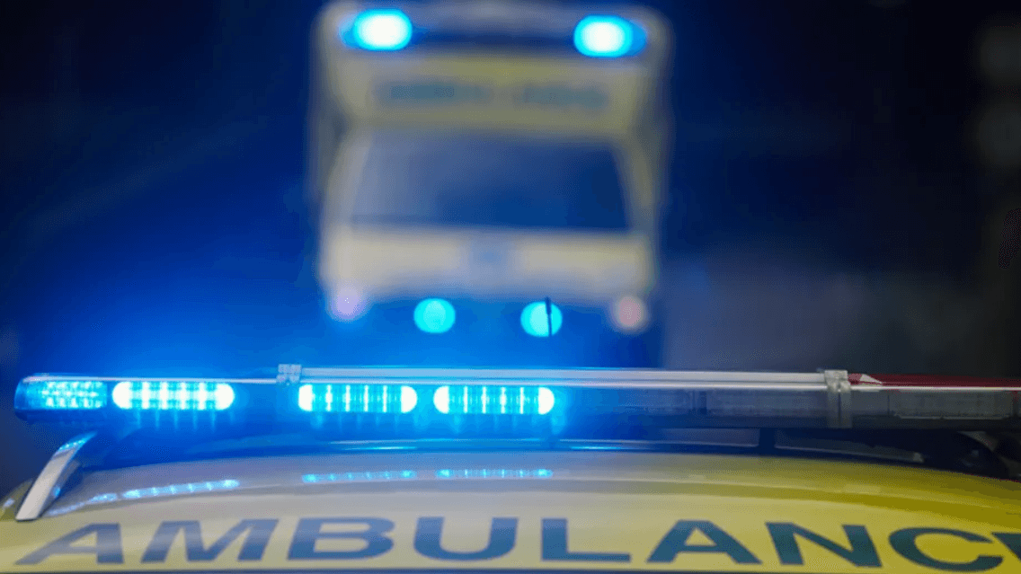 Witness appeal after pedestrian hit by car