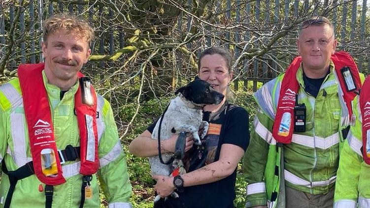 Dog rescued after falling into sludge lagoon