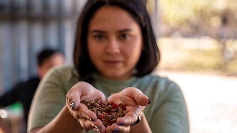 Turning used cooking oil into soap in a country where deep-fried foods rule