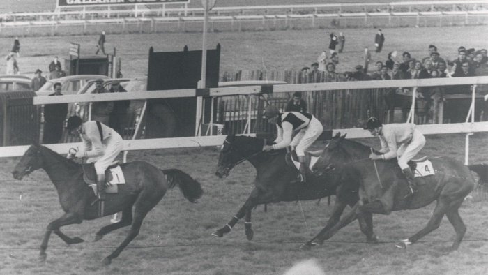 Racecourse celebrates 150 years with exhibition