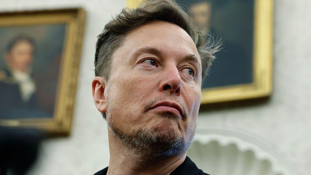 Who is Elon Musk and what is his net worth?