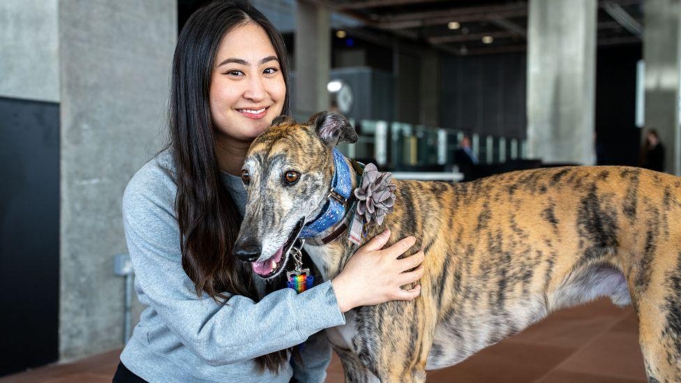 The battle to ban greyhound racing in Scotland