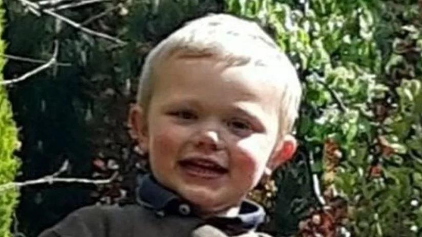 Boy, 3, 'left alone' before fatal dog attack on farm