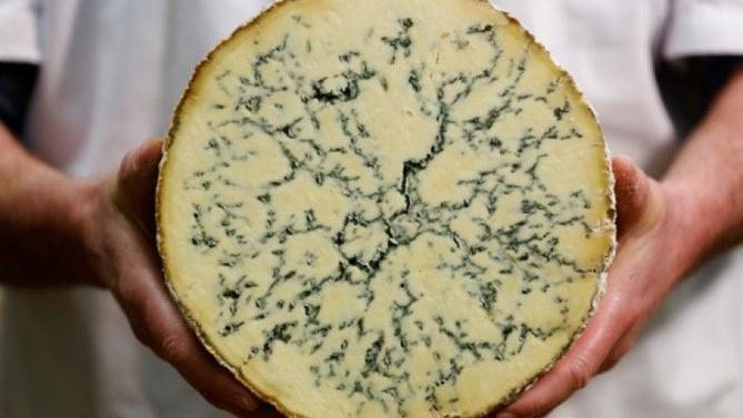 Why can't Stilton make Stilton?