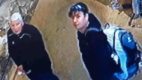 Appeal after theft from city castle site