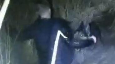 Speeding driver's escape foiled by German Shepherd
