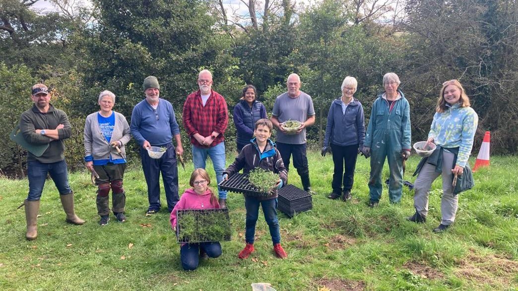 Thousands of wildflowers planted by volunteers