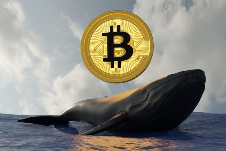 $110M Wiped Out: Bitcoin Whale Trader Gets Burned As BTC Tags $104,150