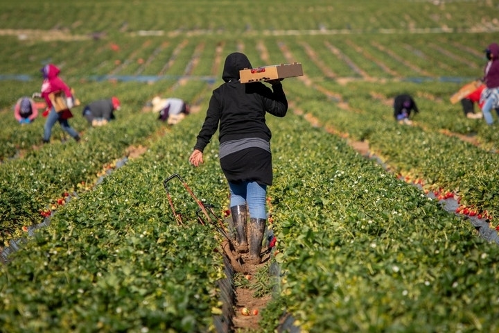 How To Put $100 In Your Retirement Fund Each Month With Farmland Partners Stock