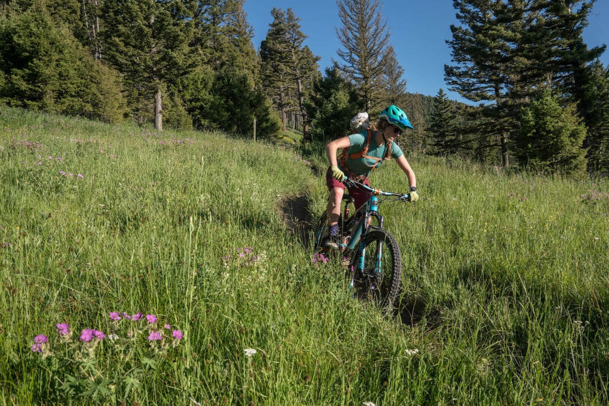 California Mountain Bikers Are Asked to Ride in the Name of Science