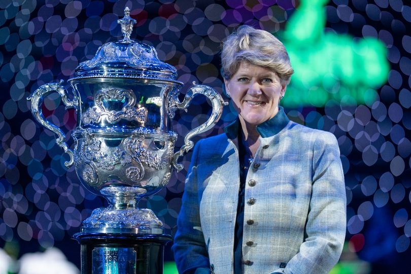 What do Crufts winners get? This is how much prize money they receive