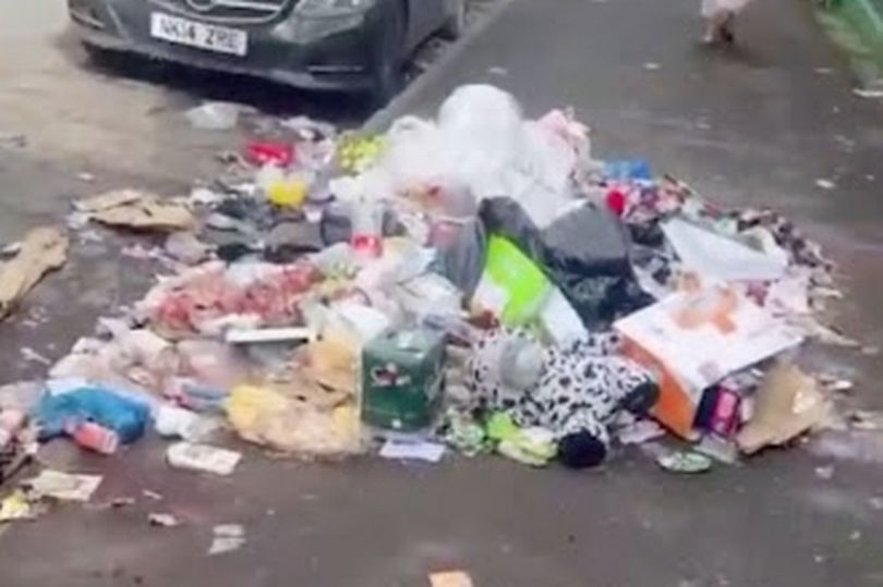 Dad left with £350 car repair bill after rats attracted by filthy street chew through wires