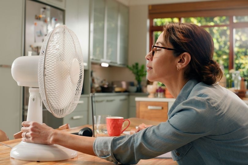 Is it too hot to work from home or the office? UK workers' rights explained