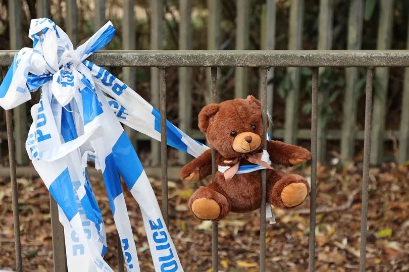 Mum remains in coma six months after horror crash that killed her toddler