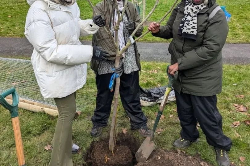 For the love of Benjamin Zephaniah - poems planted among the trees at Newtown event