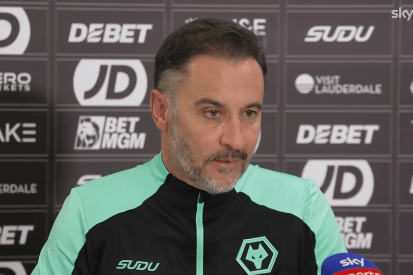 Wolves lose final pre-season friendly ahead of Premier League season