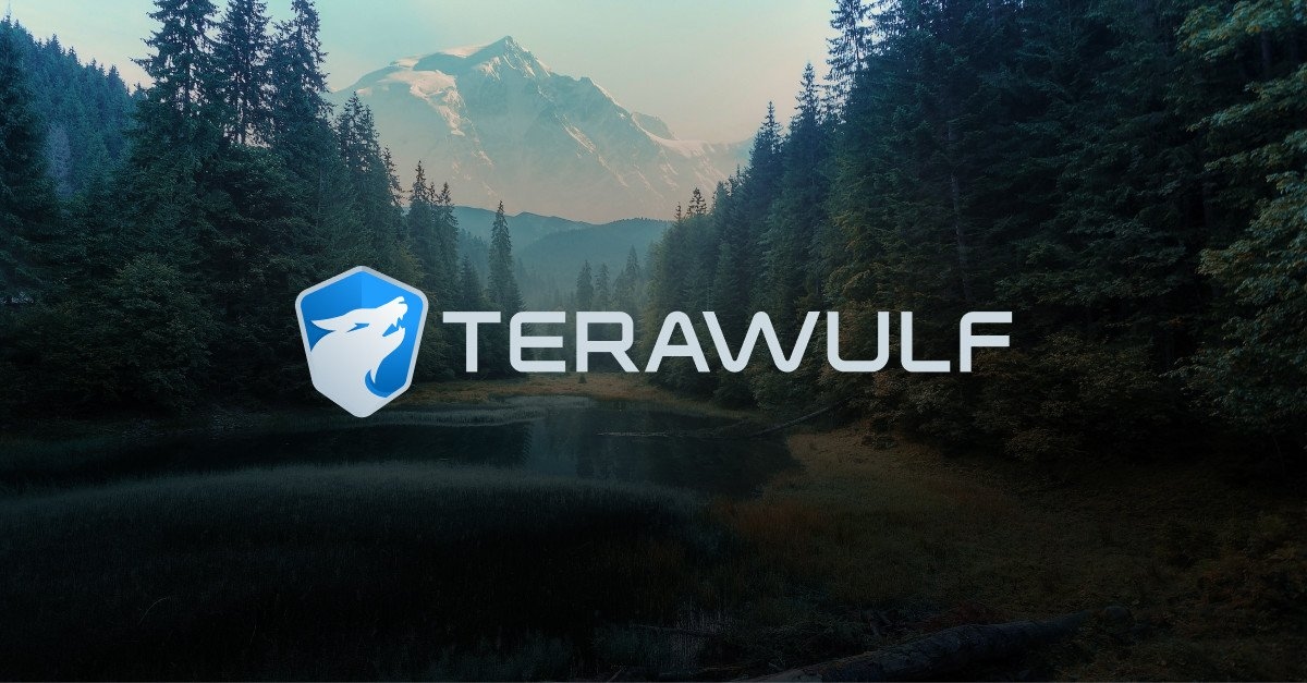 TeraWulf signs 10-year 200 MW hosting deals, Google takes 8% stake