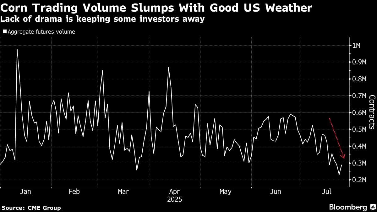 Corn and Soybeans Head for Weekly Losses as US Weather Stays Wet